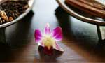 三(sān)亚财(cái)富海湾大酒店SPA中心